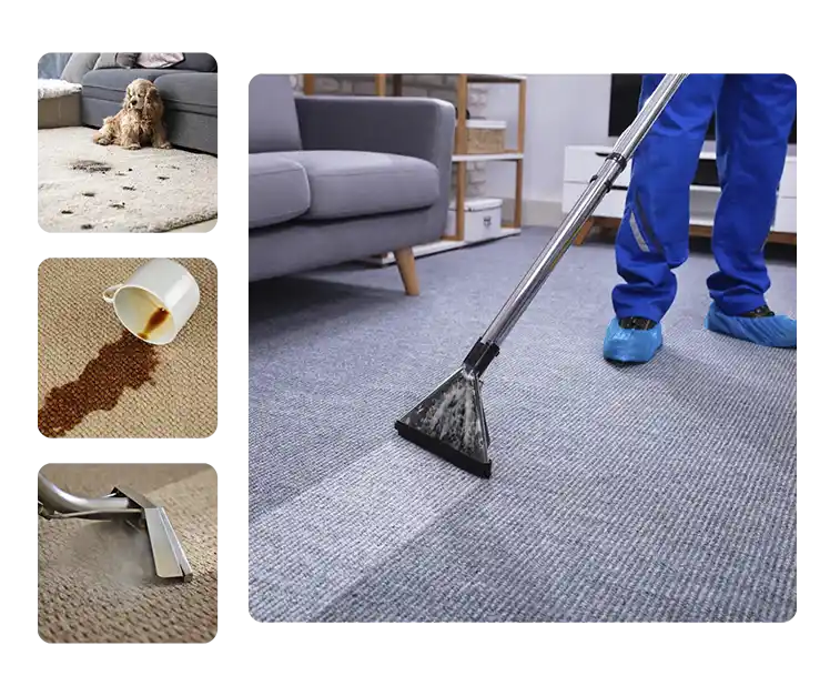 Rug Cleaning in Texas