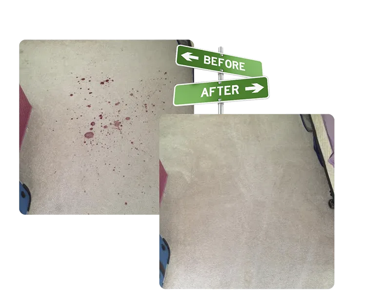 Carpet Cleaning Before and After Carpet Cleaning
