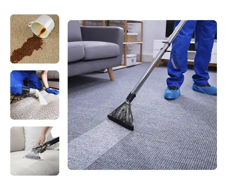 Professional Carpet Cleaning Best Carpet Cleaning Service in TX