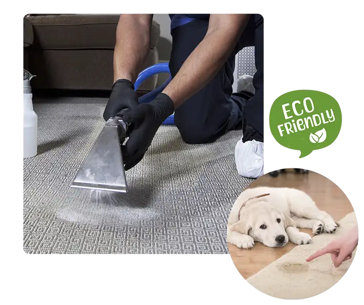 Rug Cleaning Service in Texas