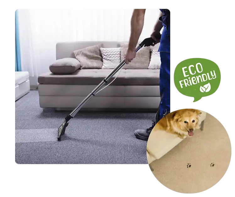 Stain Removal In TX