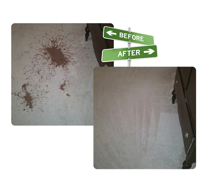 Rug Cleaning