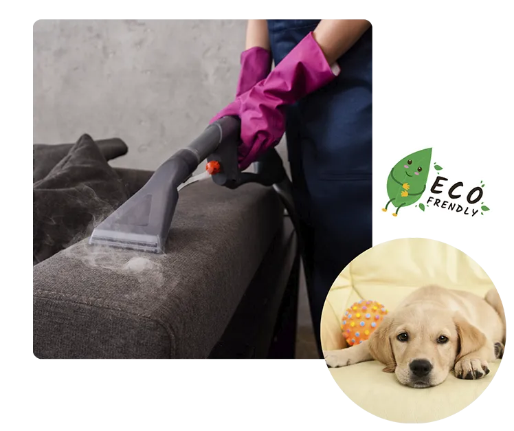 Steam Cleaning for Deep Clean