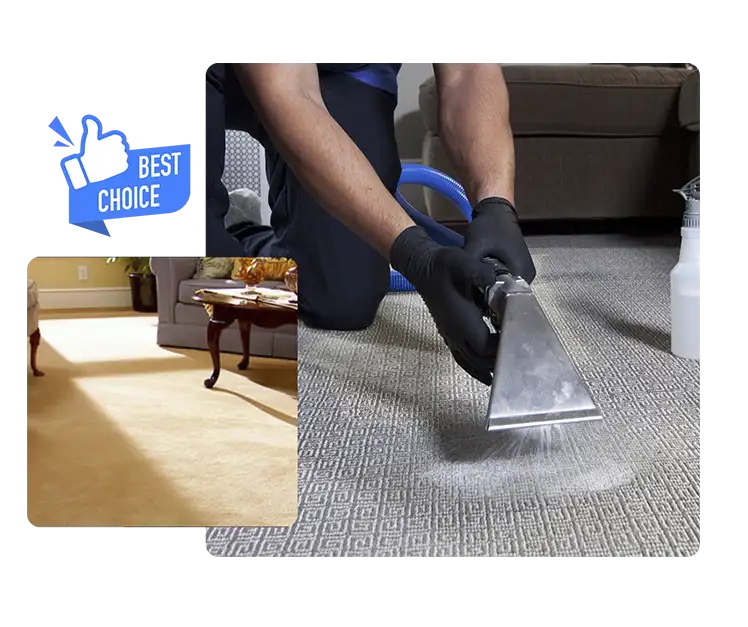 Carpet Cleaning in Houston and Dallas Carpet Cleaning for Allergy Relief