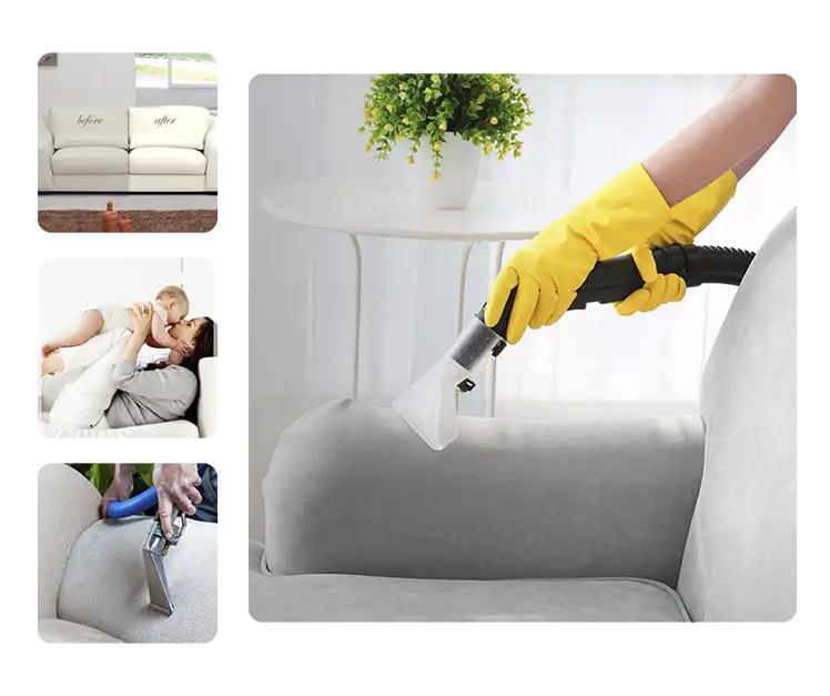 Why Choose Carpet Cleaning TX