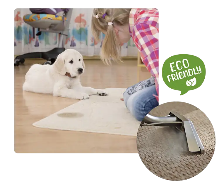 Tips for Keeping Your Carpet Clean Carpet Cleaning Service In TX